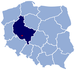 POL Gostyń map